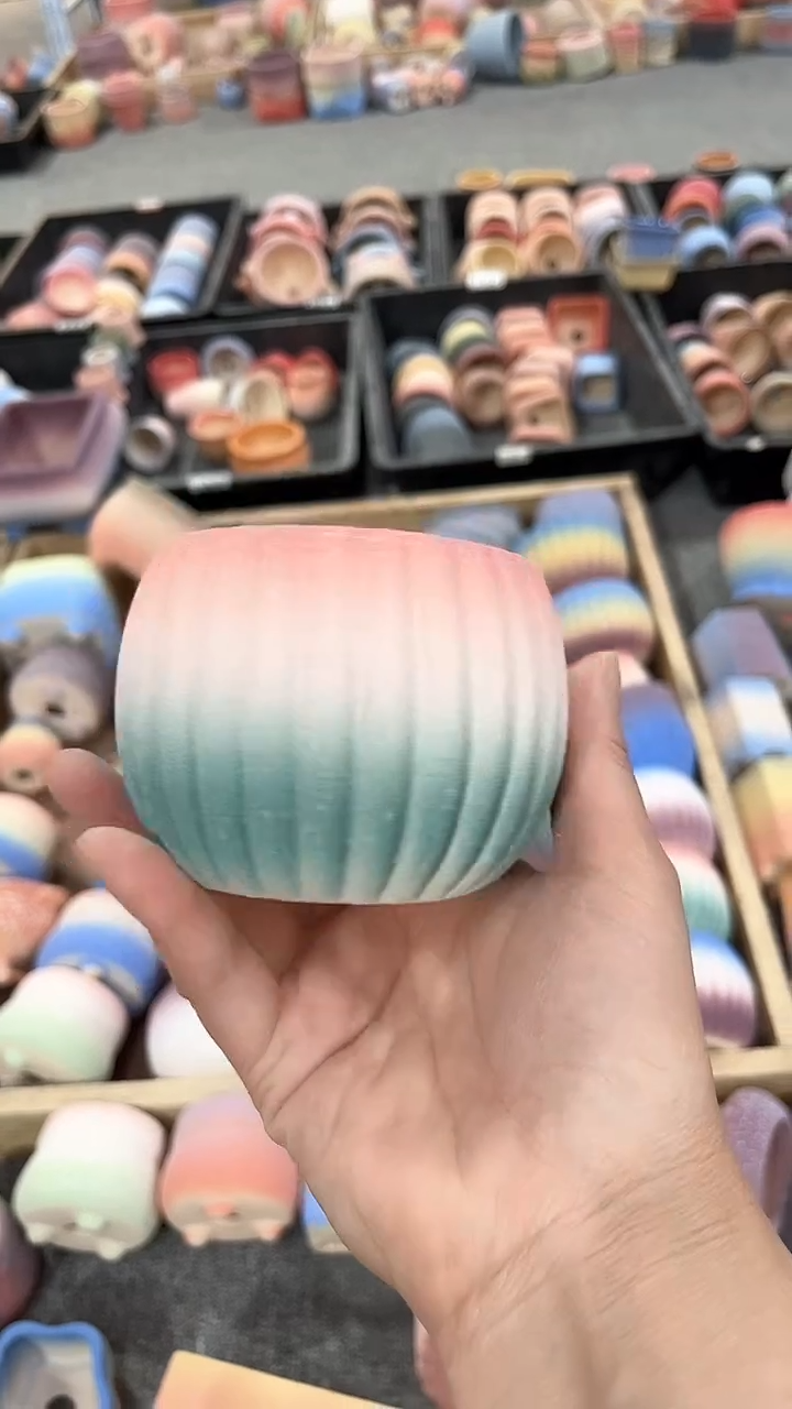 【闪购商品】红陶7*6