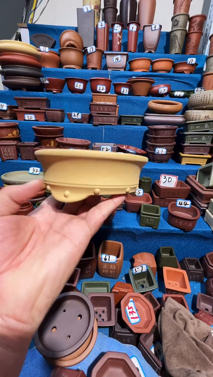 【闪购商品】紫砂紫砂花盆12.5*3.5