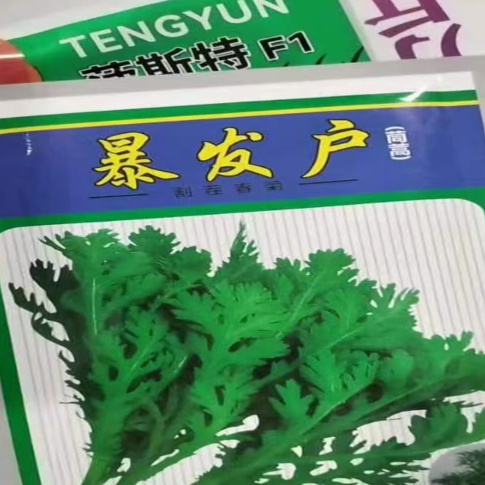 暴发户茼蒿种子割茬皇帝菜小叶茼蒿种子蔬菜种子