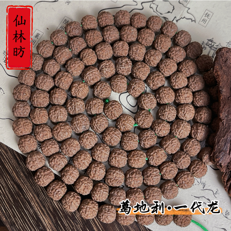 【仙林昉】菩提小金刚【葛地利一代龙】原皮原色110颗左右建议两条起