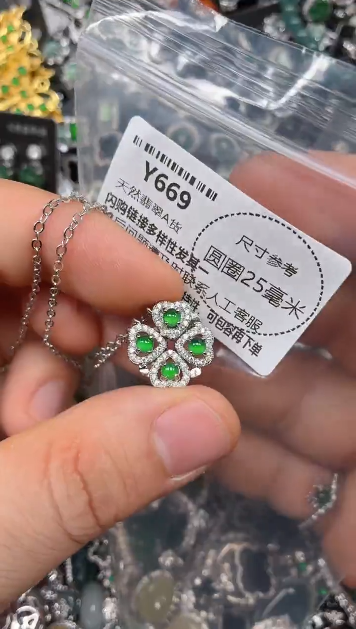 颈饰未镶嵌翡翠Y669项链