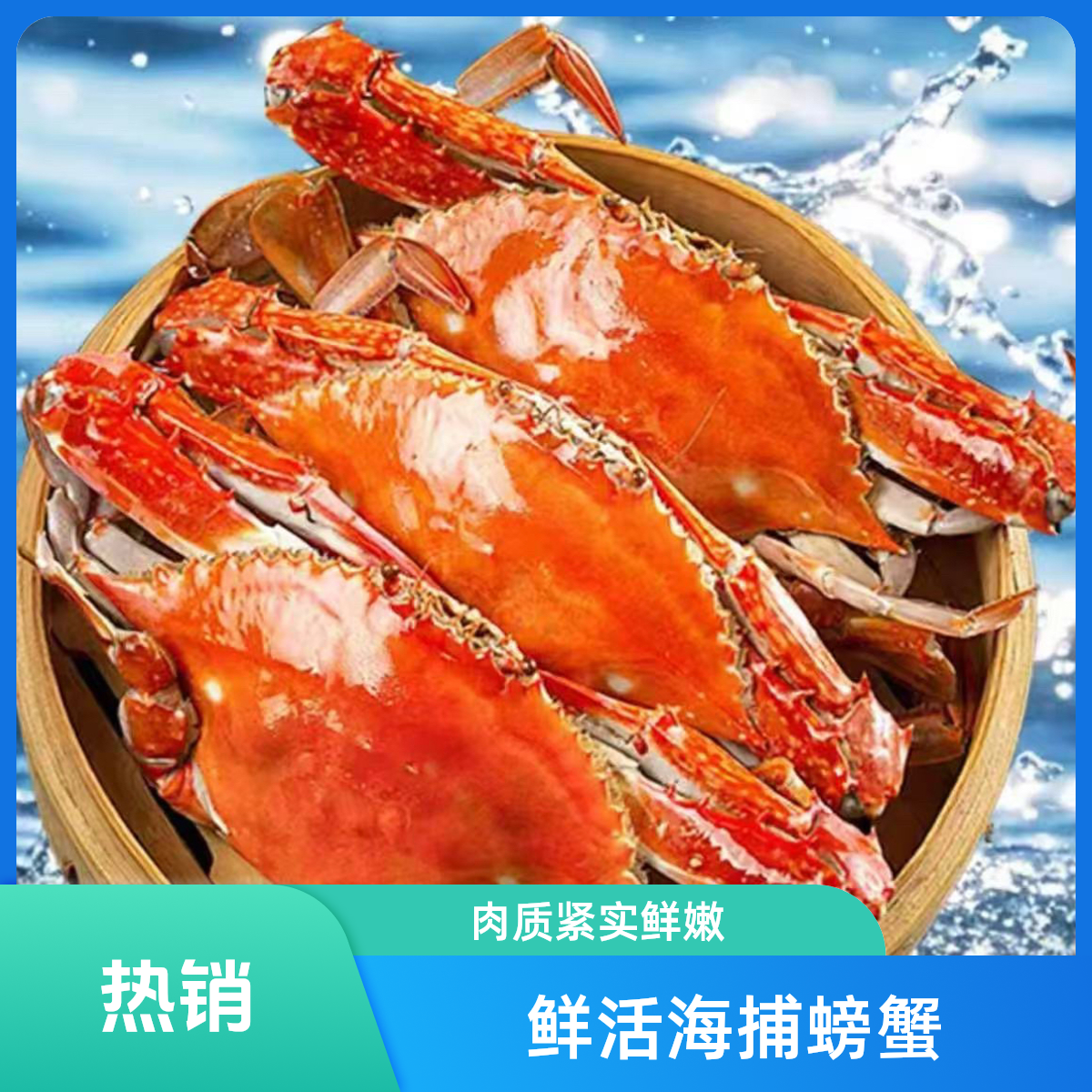 活大母梭子蟹80元一斤 4-6两一只
