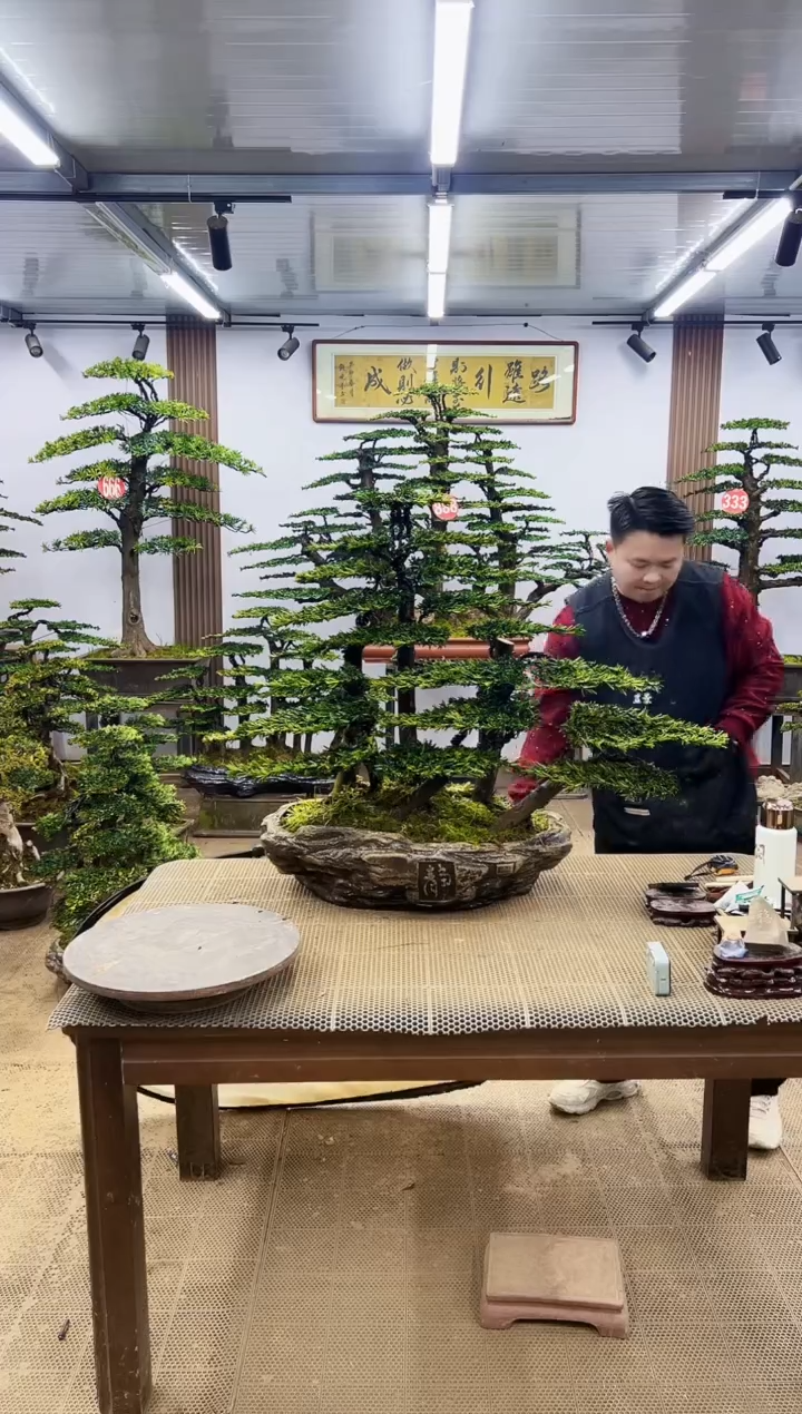 【闪购商品】000000000