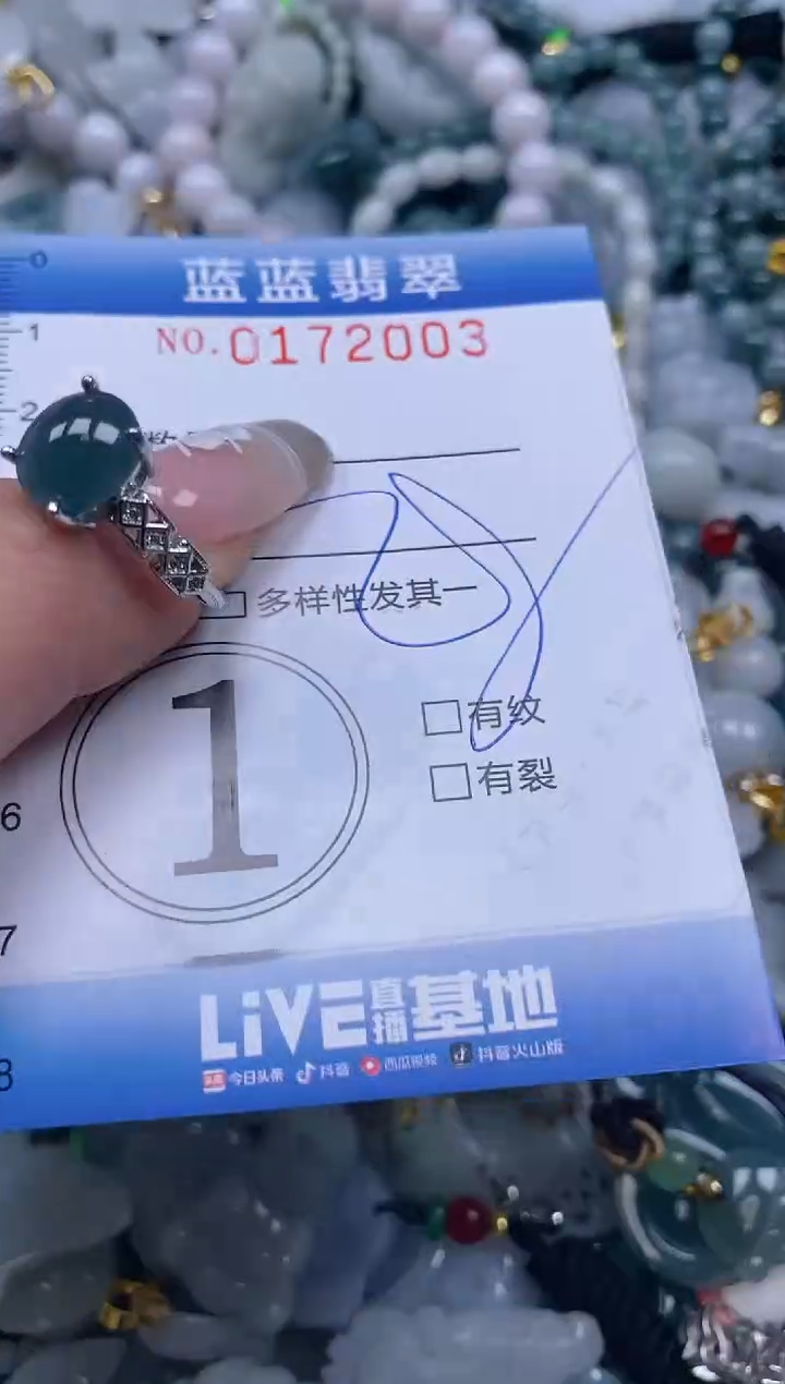 【闪购商品】翡翠颈饰未镶嵌闪购0172003