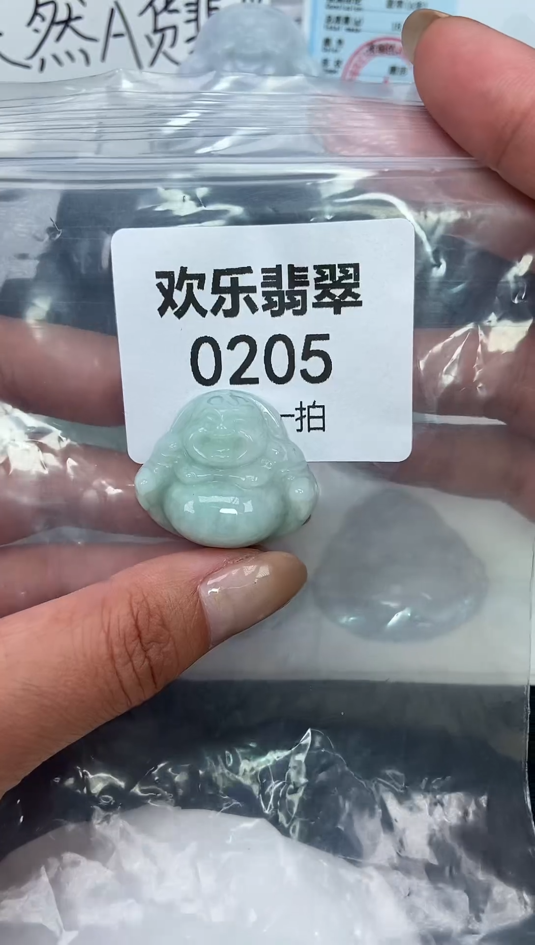 颈饰未镶嵌翡翠缅甸天然翡翠0205