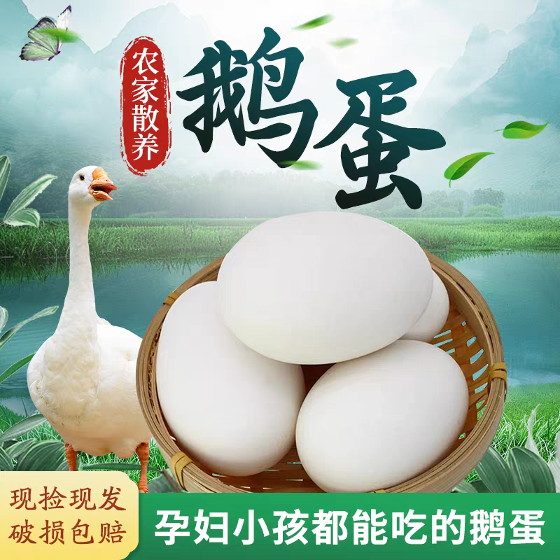 新鲜大个农家散养鹅蛋营养丰富适合孕妇和宝宝食用