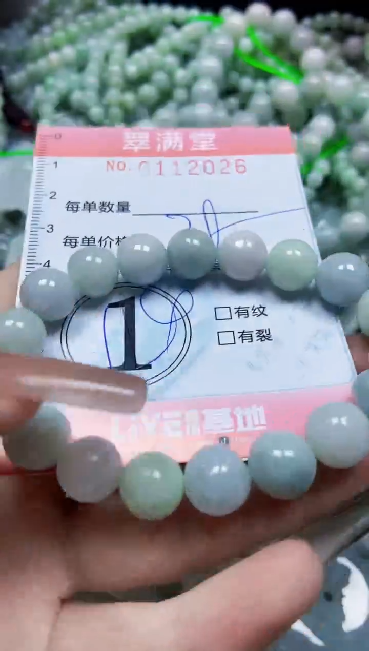 【闪购商品】翡翠颈饰未镶嵌闪购0112026