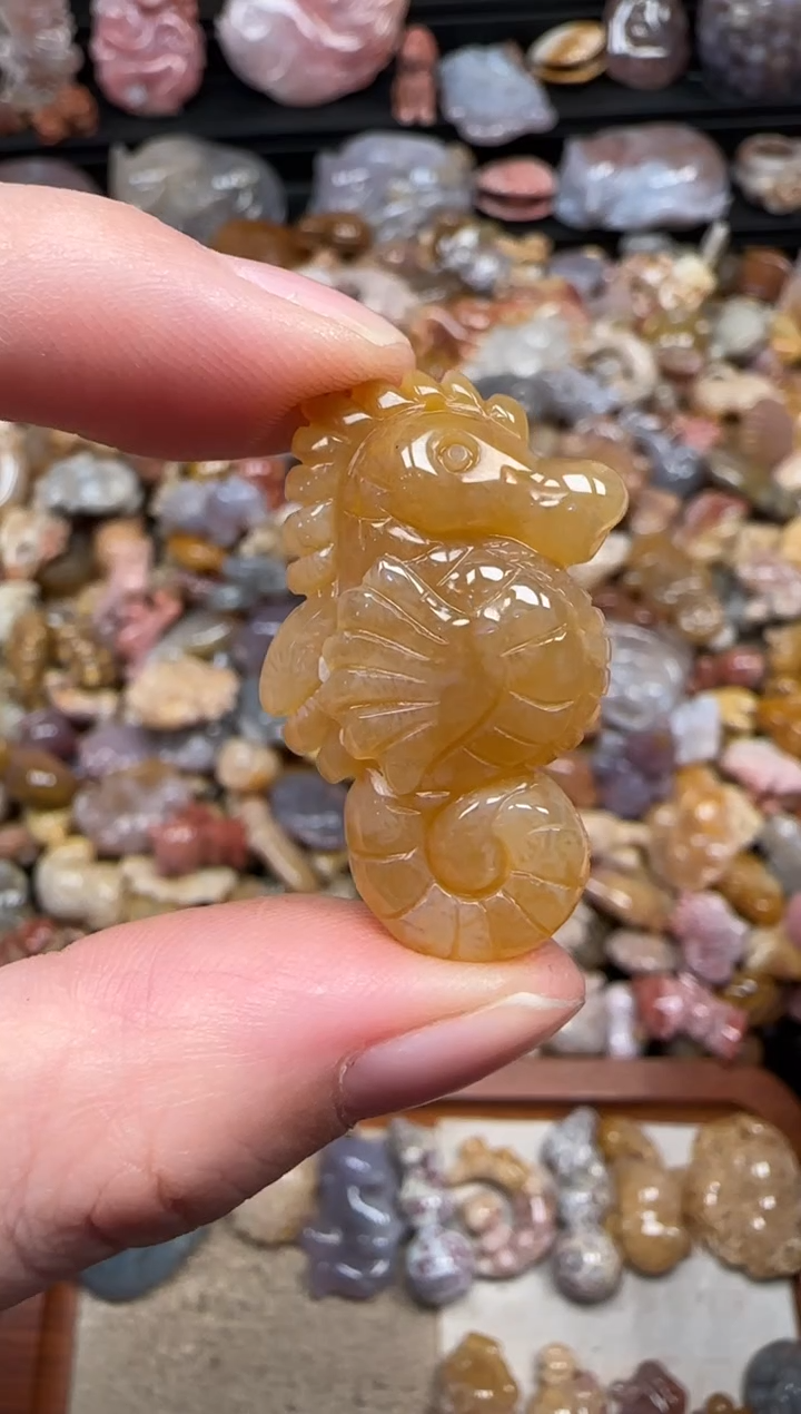 颈饰未镶嵌硅化珊瑚（珊瑚玉）157