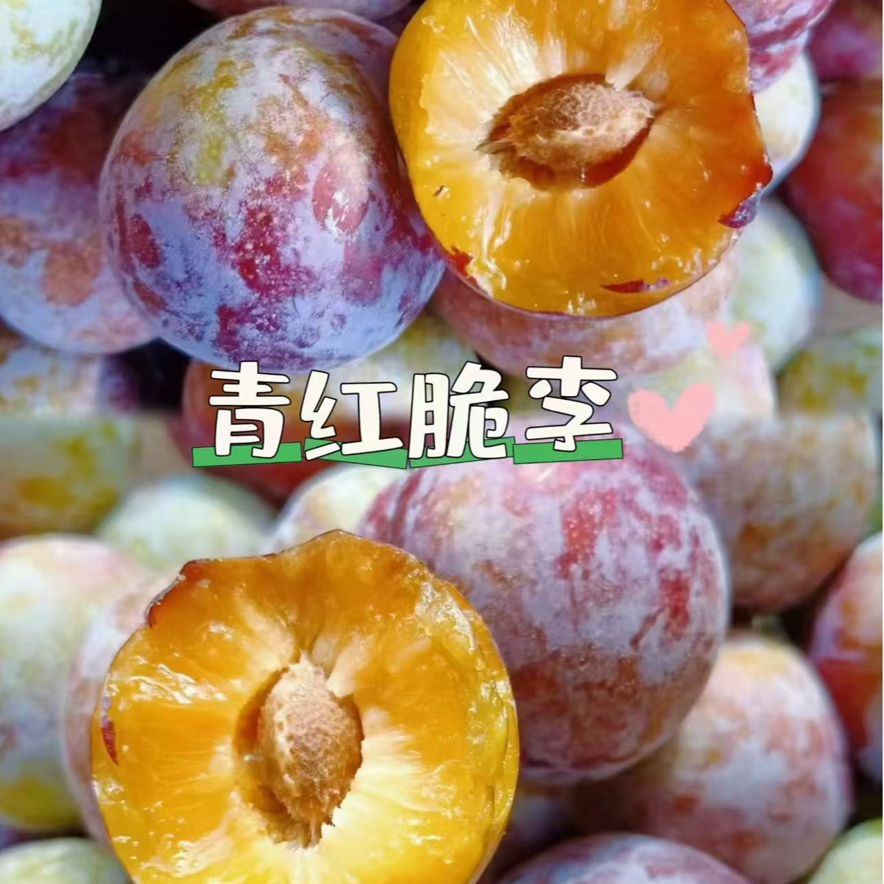 《农人老三》青红脱骨脆李 新鲜水果顺丰包邮g四川省