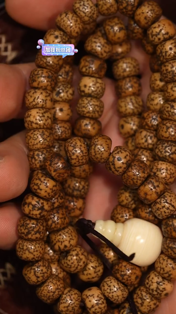 冲赛康胡子哥，藏传念珠263