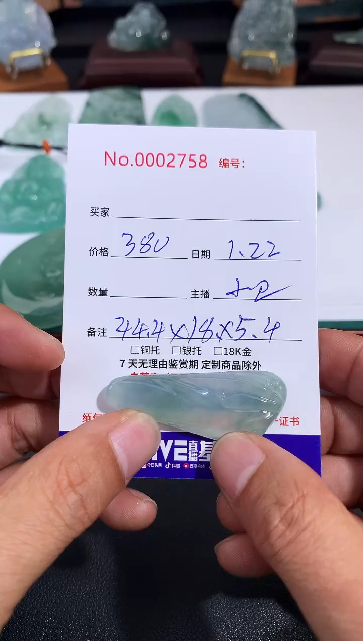 【闪购商品】翡翠颈饰未镶嵌悟道