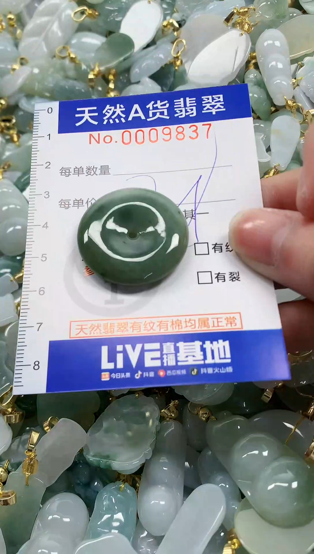 颈饰未镶嵌翡翠纯天然a货翡翠
