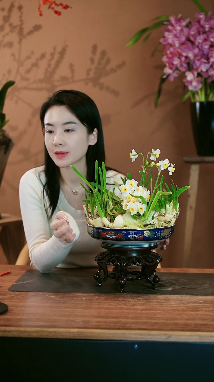 【闪购商品】盆景雕刻水仙