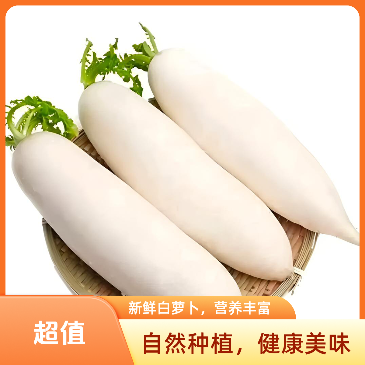 高山蔬菜白萝卜海拔1800的高山种植自然成熟基地直发