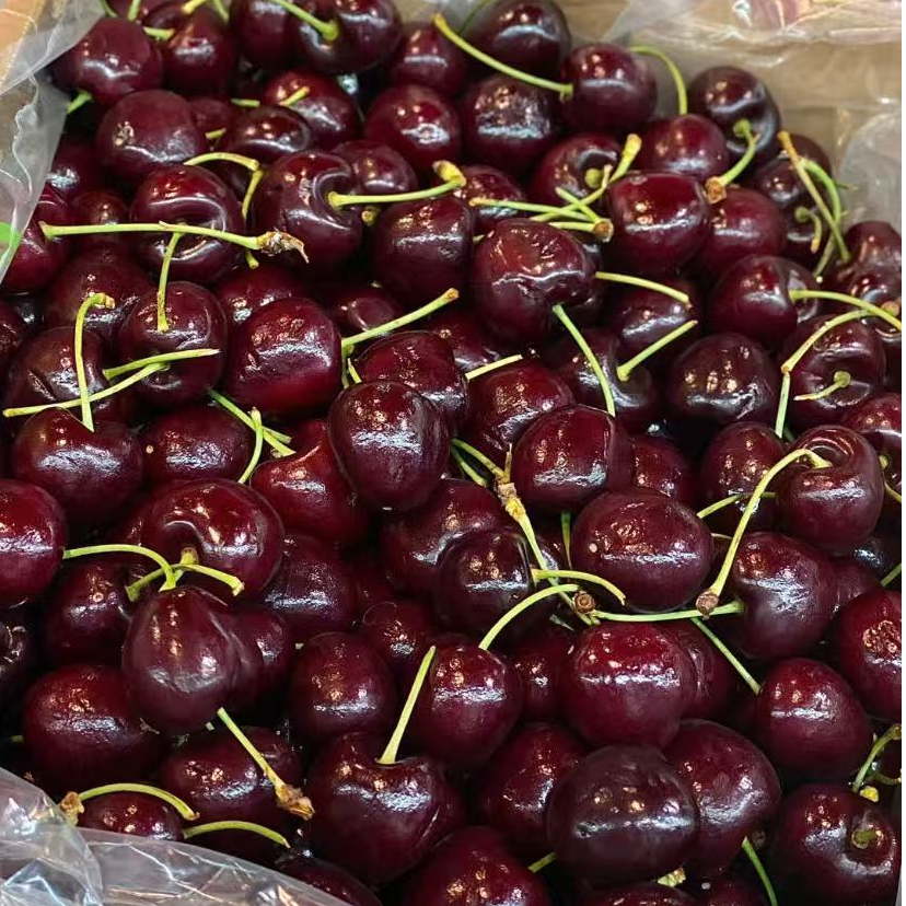 智利进口  拉宾斯 车厘子 JD加大加黑  散装三斤净重 礼盒包装