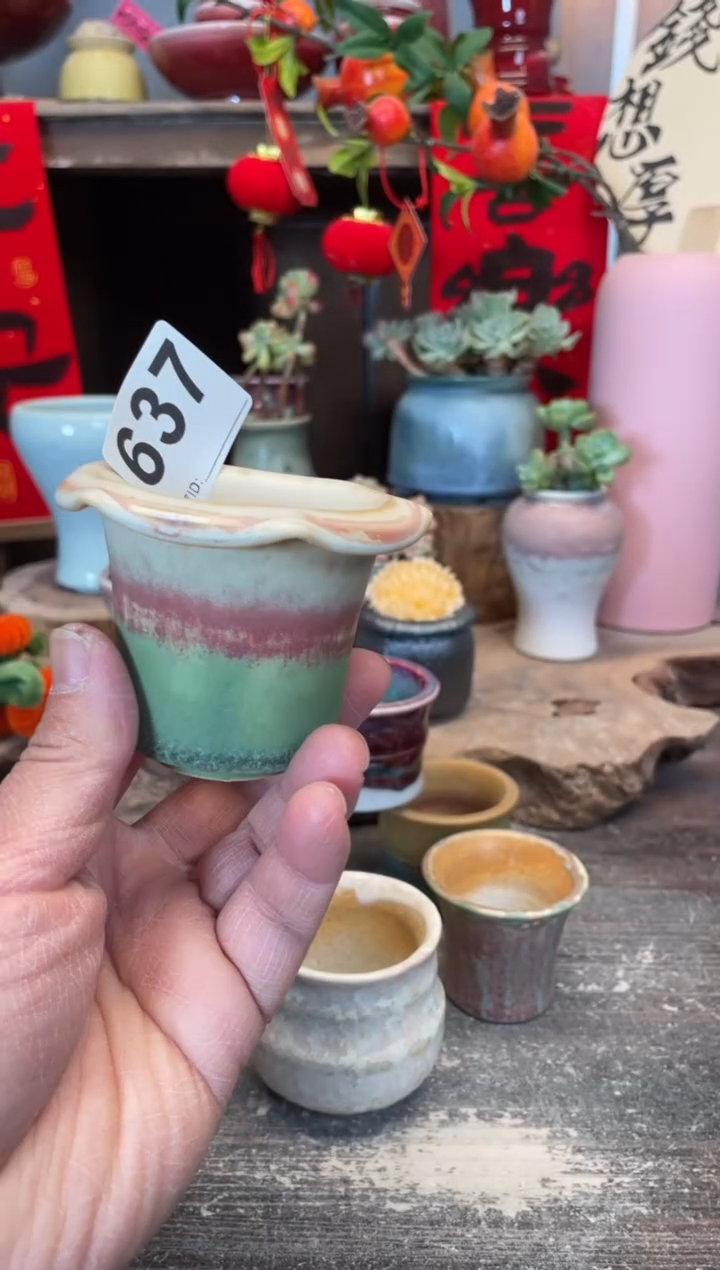 【闪购商品】摆件637知木小芳花盆