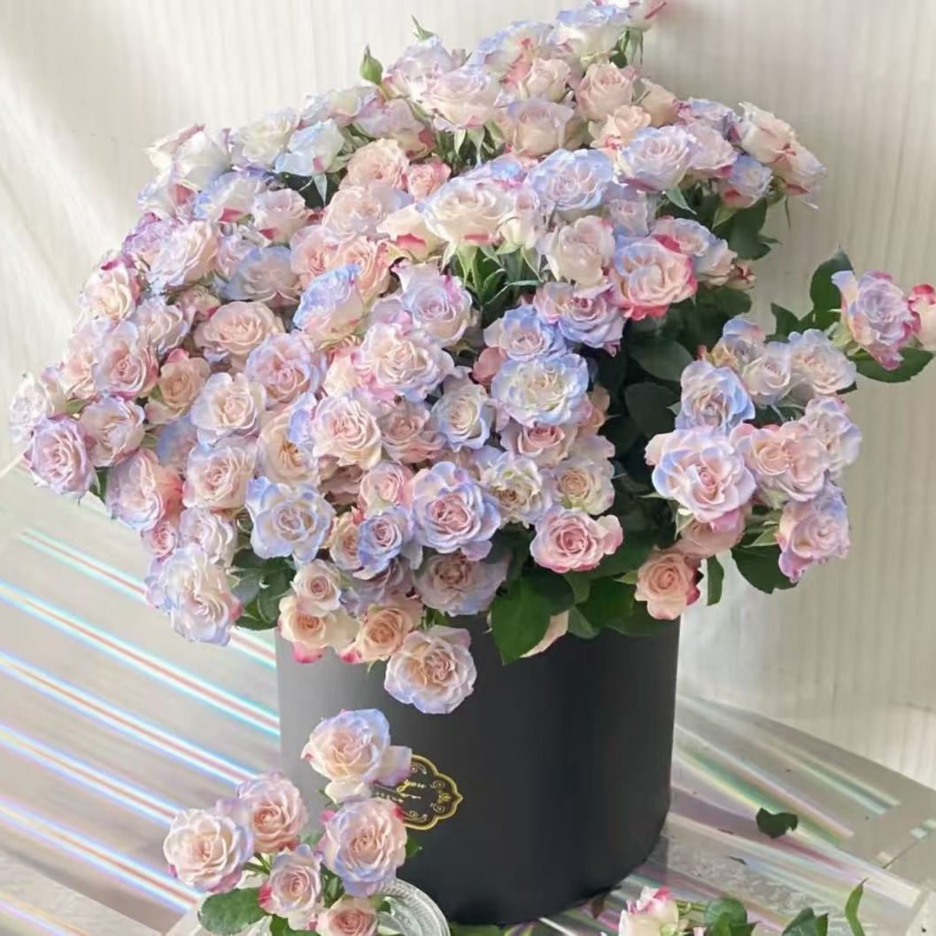 【花予专属】10枝 碎冰蓝折射多头玫瑰