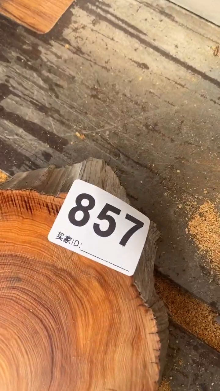 【闪购商品】柏木（崖柏）太行山陈化崖柏切片