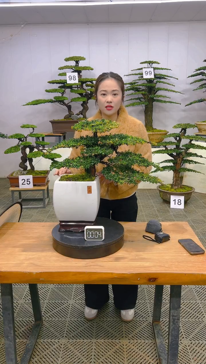 无花朵一物一拍一物一拍