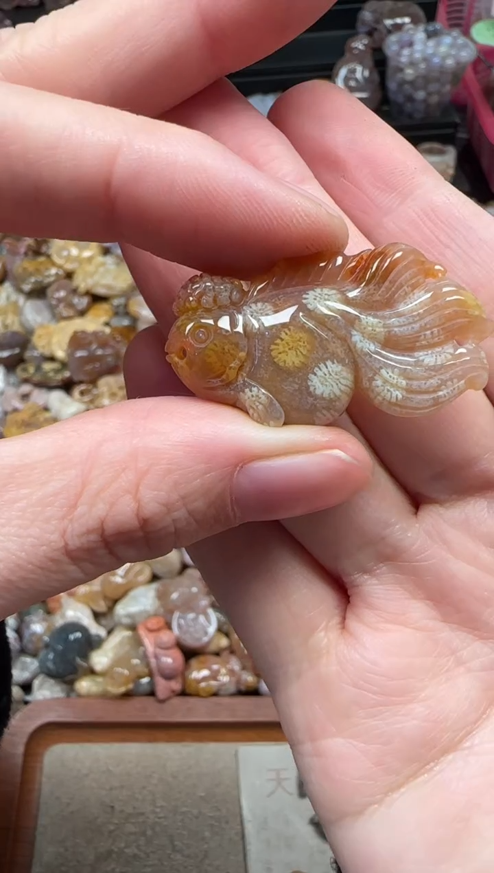 颈饰未镶嵌硅化珊瑚（珊瑚玉）387