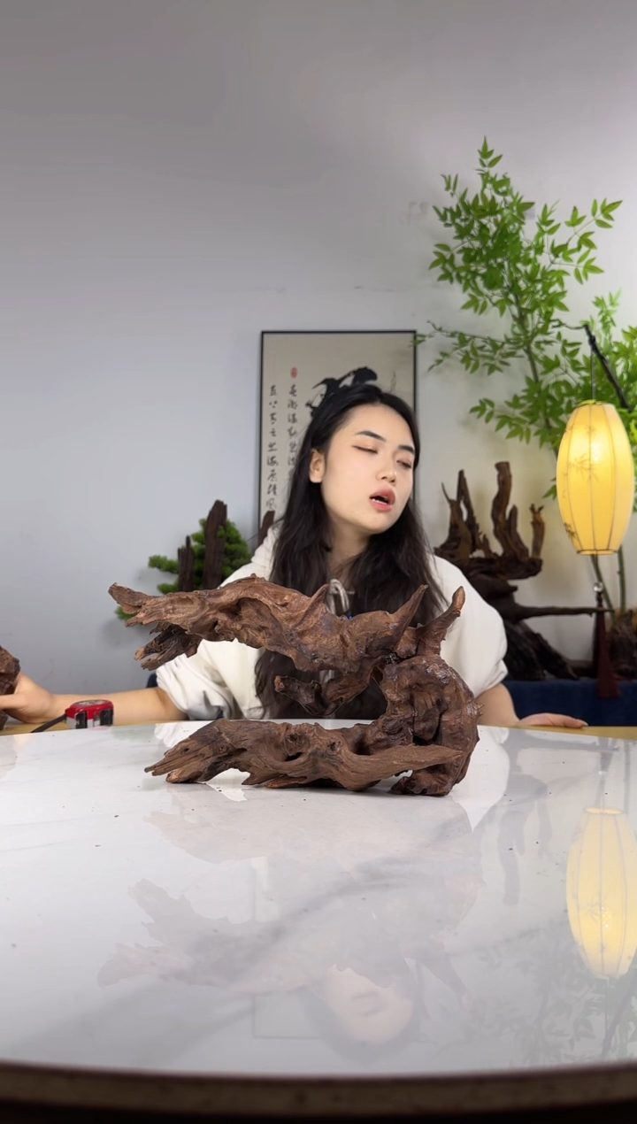 小**仔拍这个定向编号26