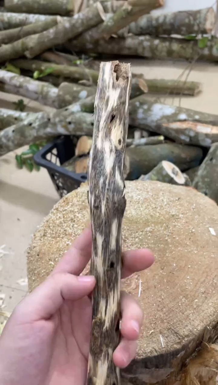 沉香沉香碎屑棋楠沉香 原料文创1