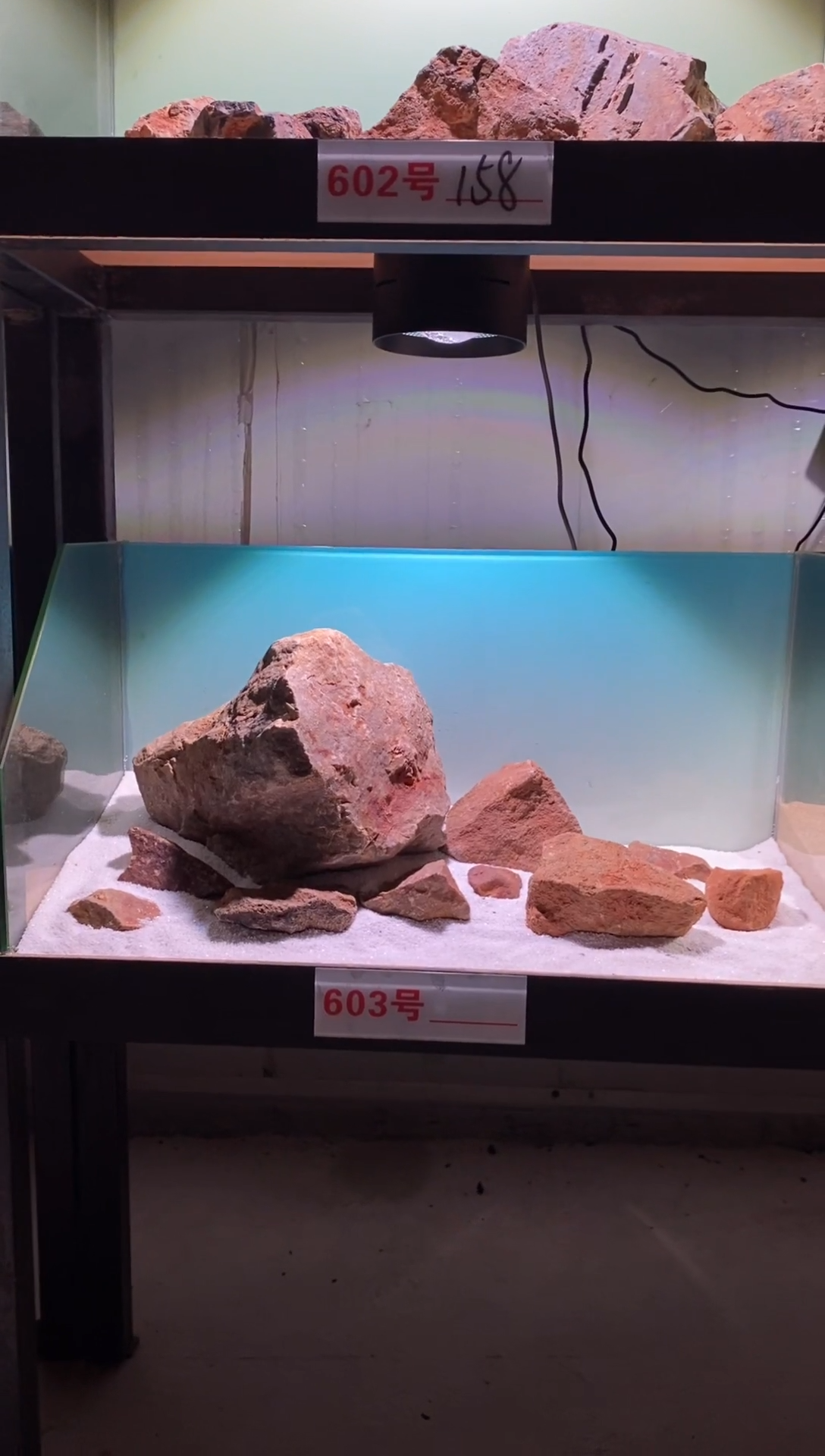 603号鱼缸造景（不含底砂）
