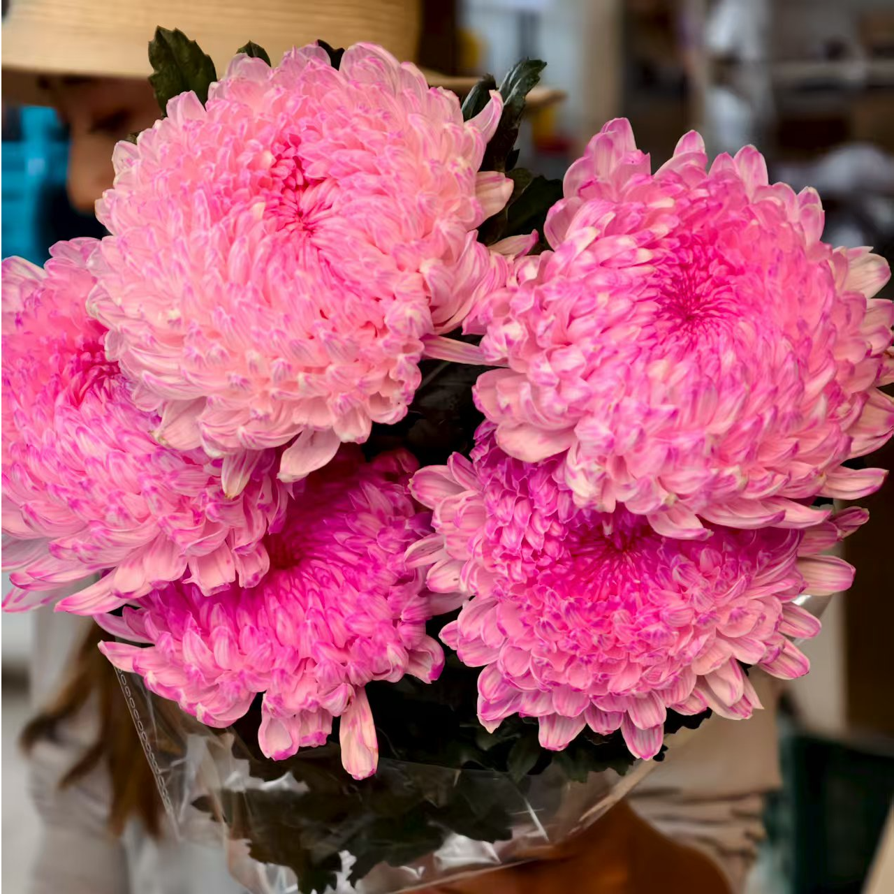 AAA级稀有莲花粉牡丹菊5支