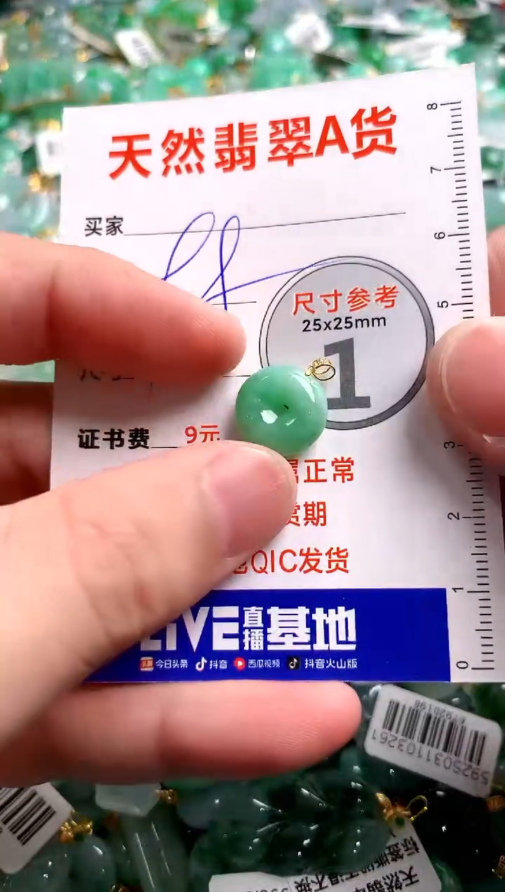 翡翠18K金镶嵌颈饰13006067