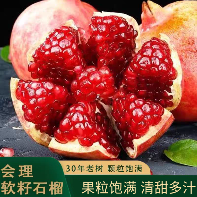 正宗会理突尼斯软籽石榴5/9斤爆甜多汁应季水果会理/昆明两仓发qc