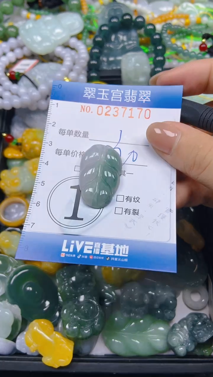 颈饰未镶嵌翡翠闪购C0237170