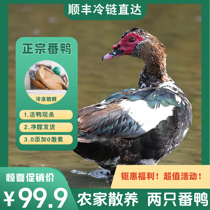 【到手两只】农家山塘放养土番鸭 2只净膛9-10斤 青年鸭无瘤 顺丰冷链直达