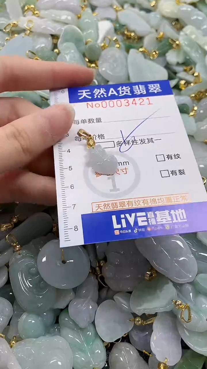 颈饰未镶嵌翡翠纯天然a货翡翠