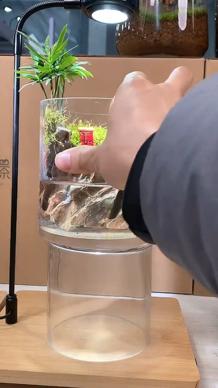 【闪购商品】小圆缸能养鱼