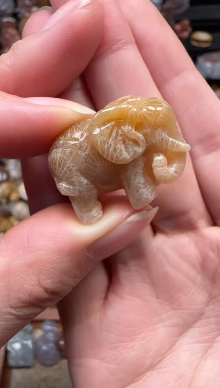 颈饰未镶嵌硅化珊瑚（珊瑚玉）181