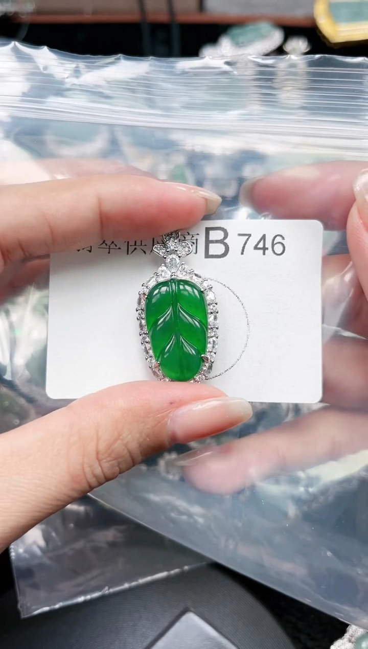 【闪购商品】翡翠颈饰未镶嵌赠皮绳746