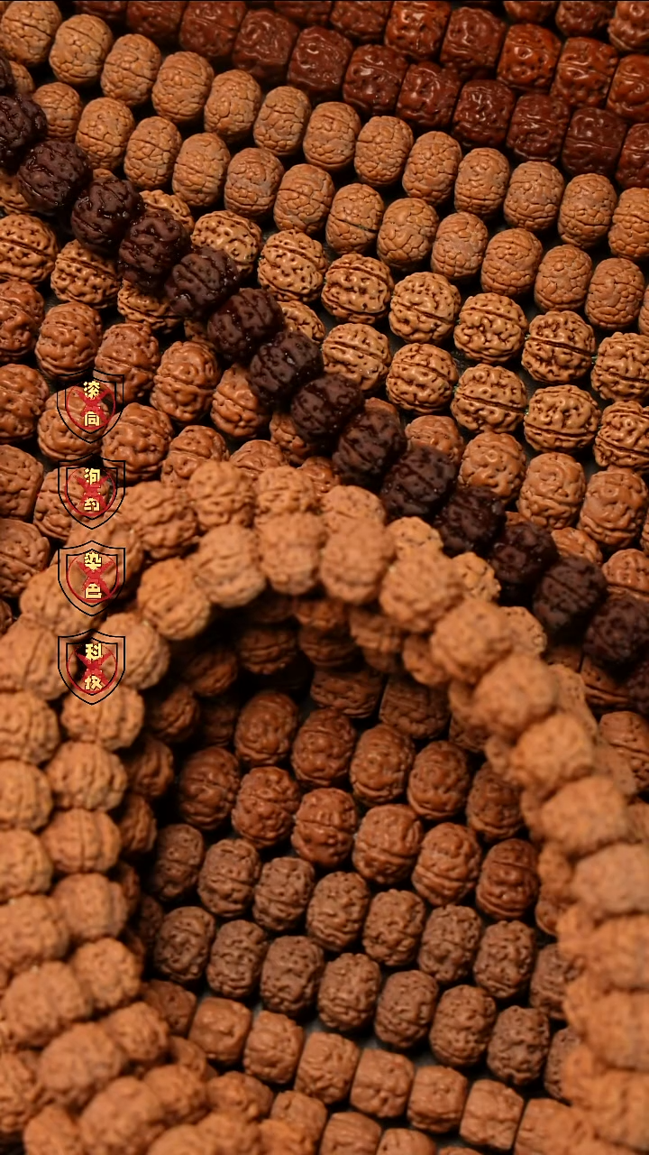 吊坠金刚菩提拉**竞老树王