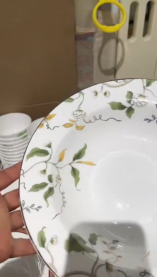 瓷香榭丽10.5深汤1个