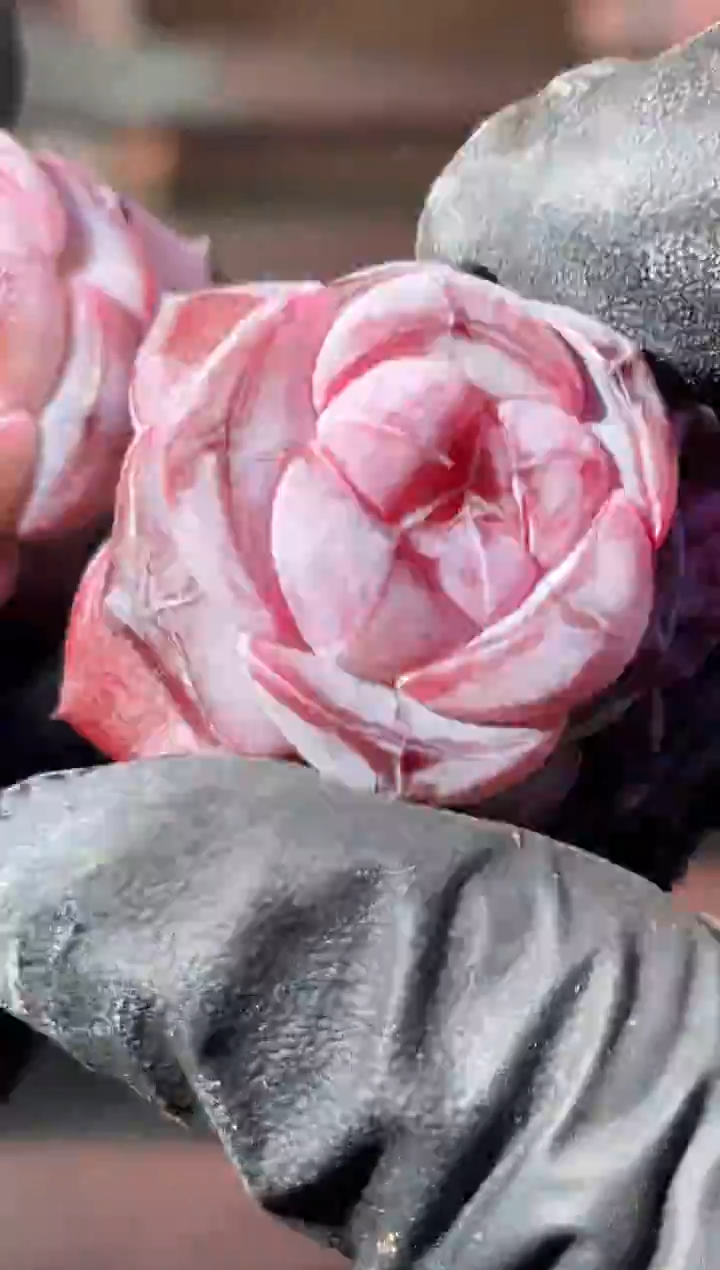 33-38 小圆胖1-2厘米量拍发一颗