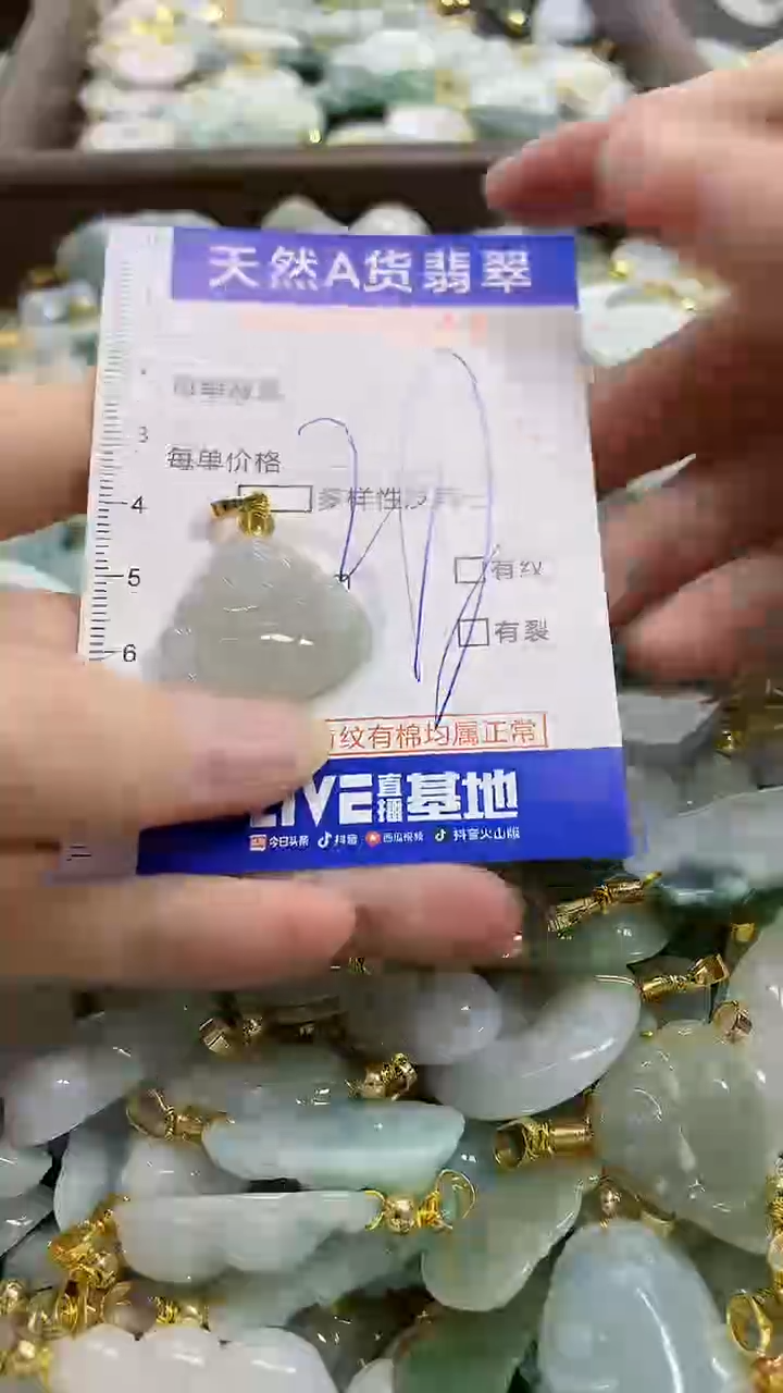 颈饰未镶嵌翡翠天然A货翡翠