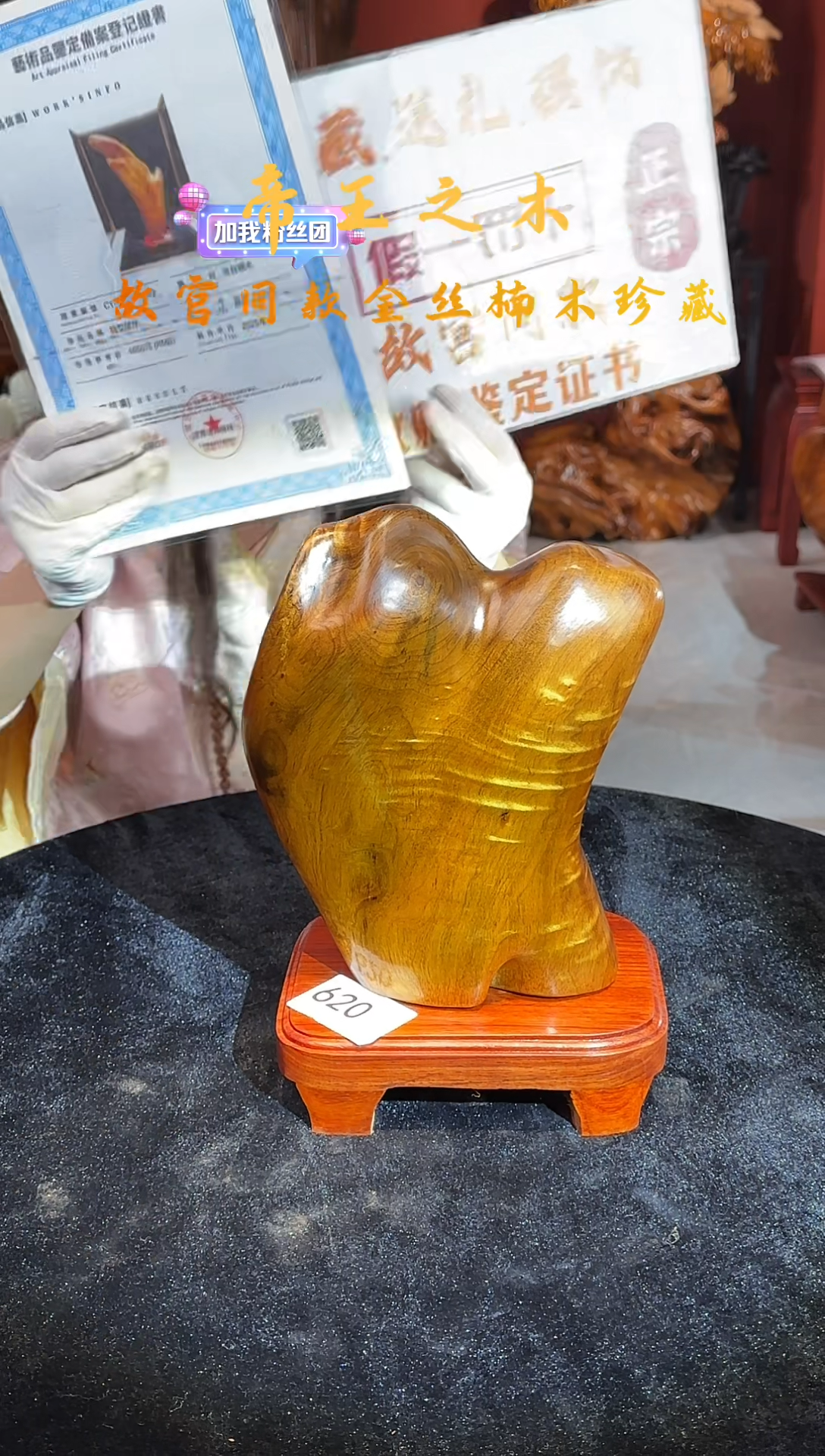 金丝楠金丝楠木随形孤品摆件620