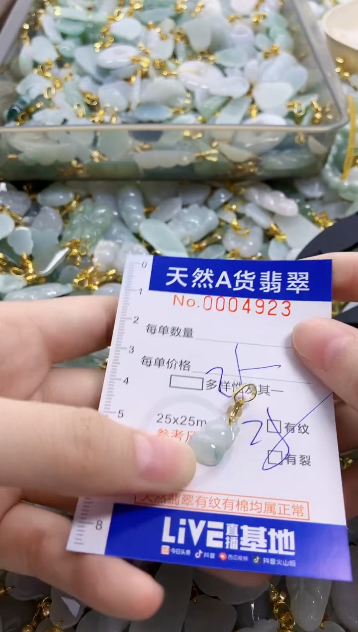 颈饰未镶嵌翡翠天然A货翡翠