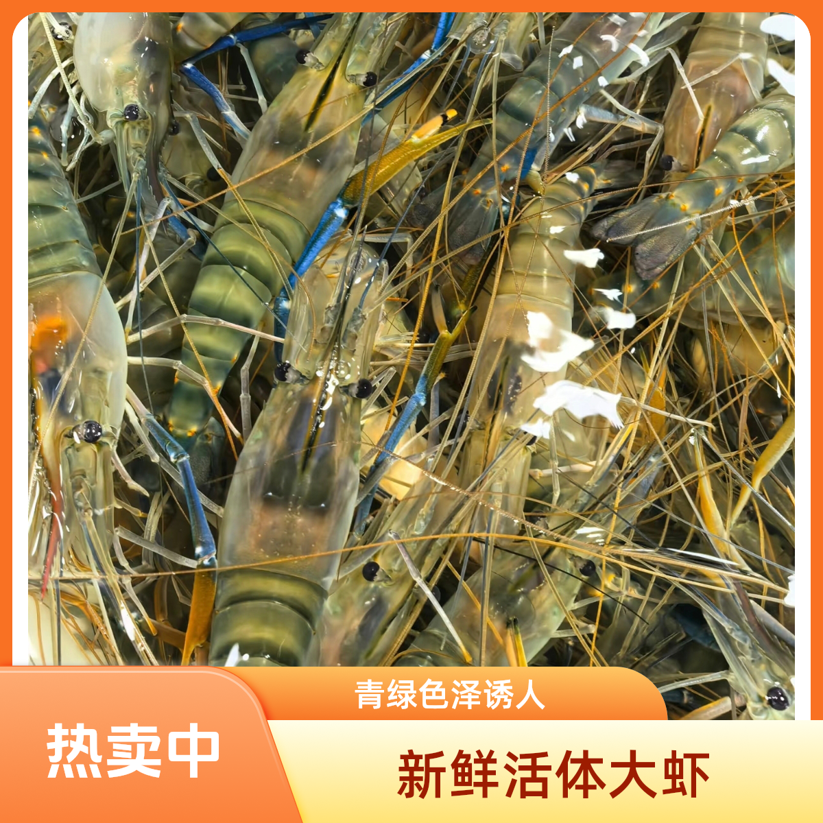 鲜活罗氏虾一斤