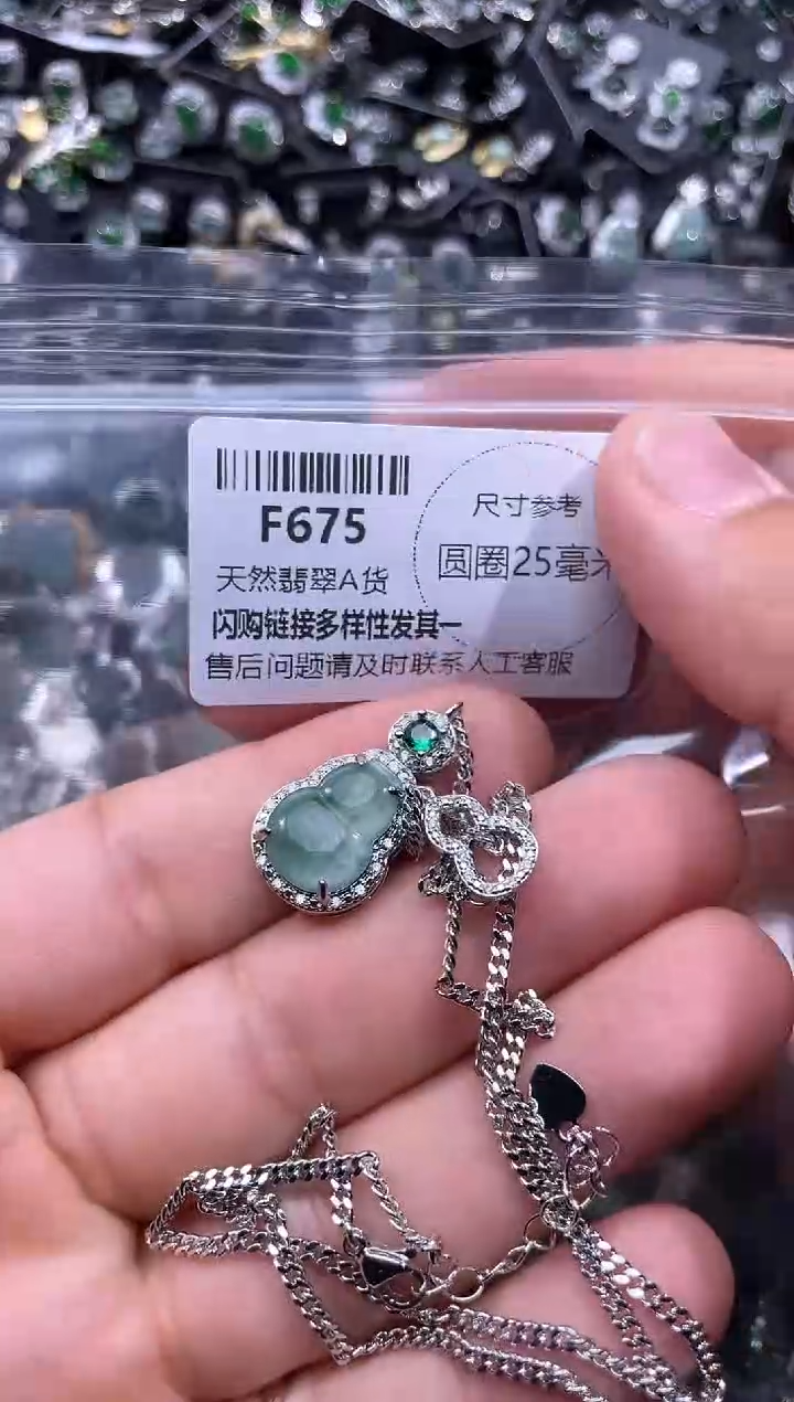 【闪购商品】翡翠未镶嵌颈饰F675项链