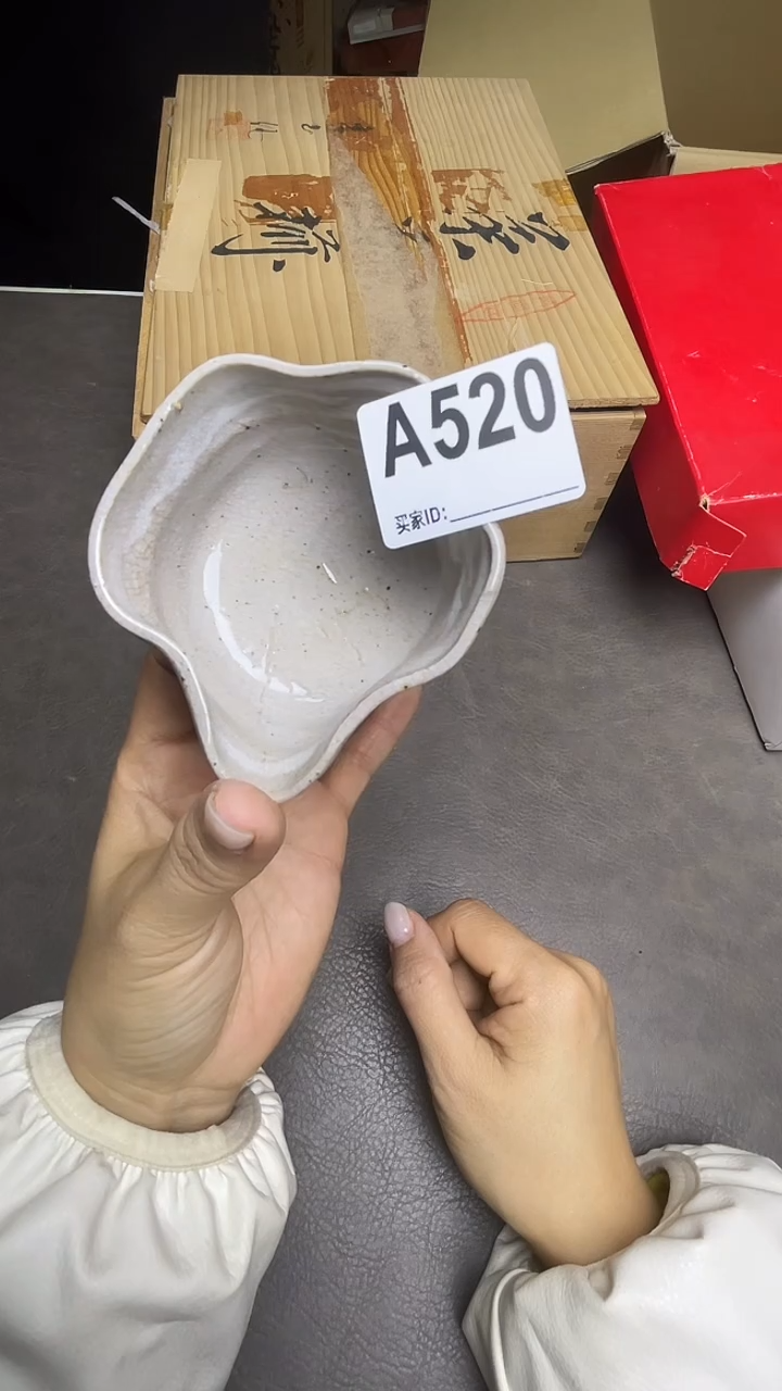 瓷片枫*默认微瑕，谨慎参拍A520