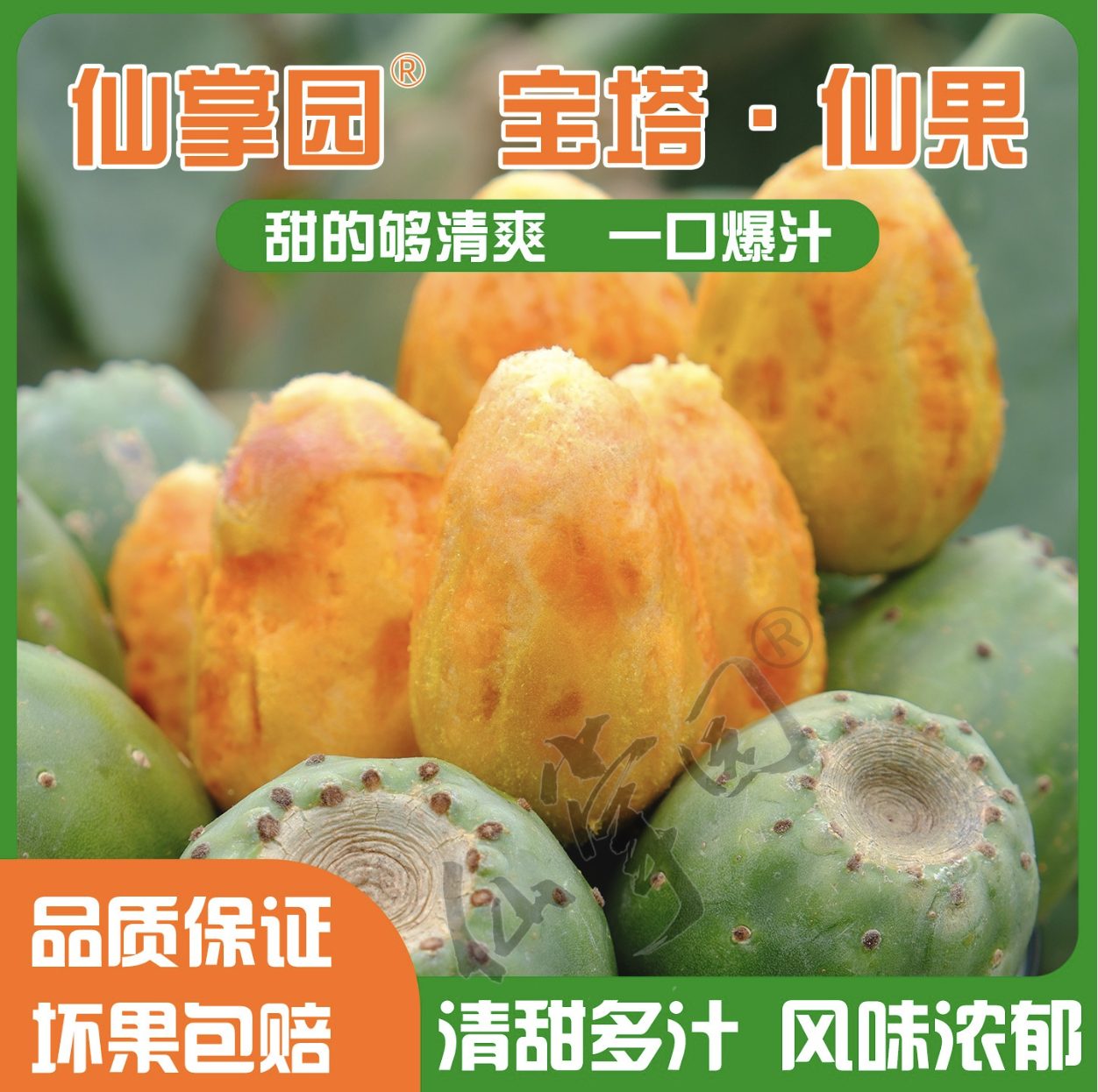 【仙掌园】宝塔黄果 仙人掌水果（2斤装）