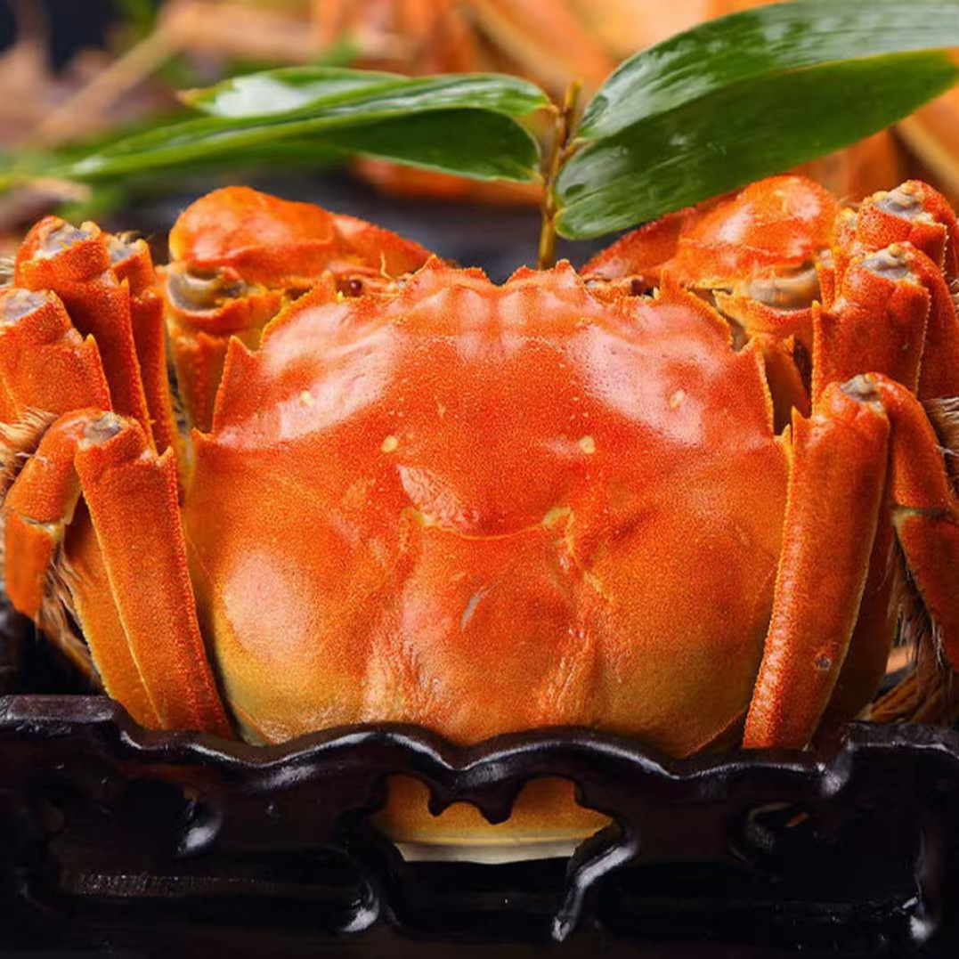 【活蟹】苏州精品大闸蟹公蟹4.3-3.8两母蟹3.3-2.8两8只送2只礼盒装