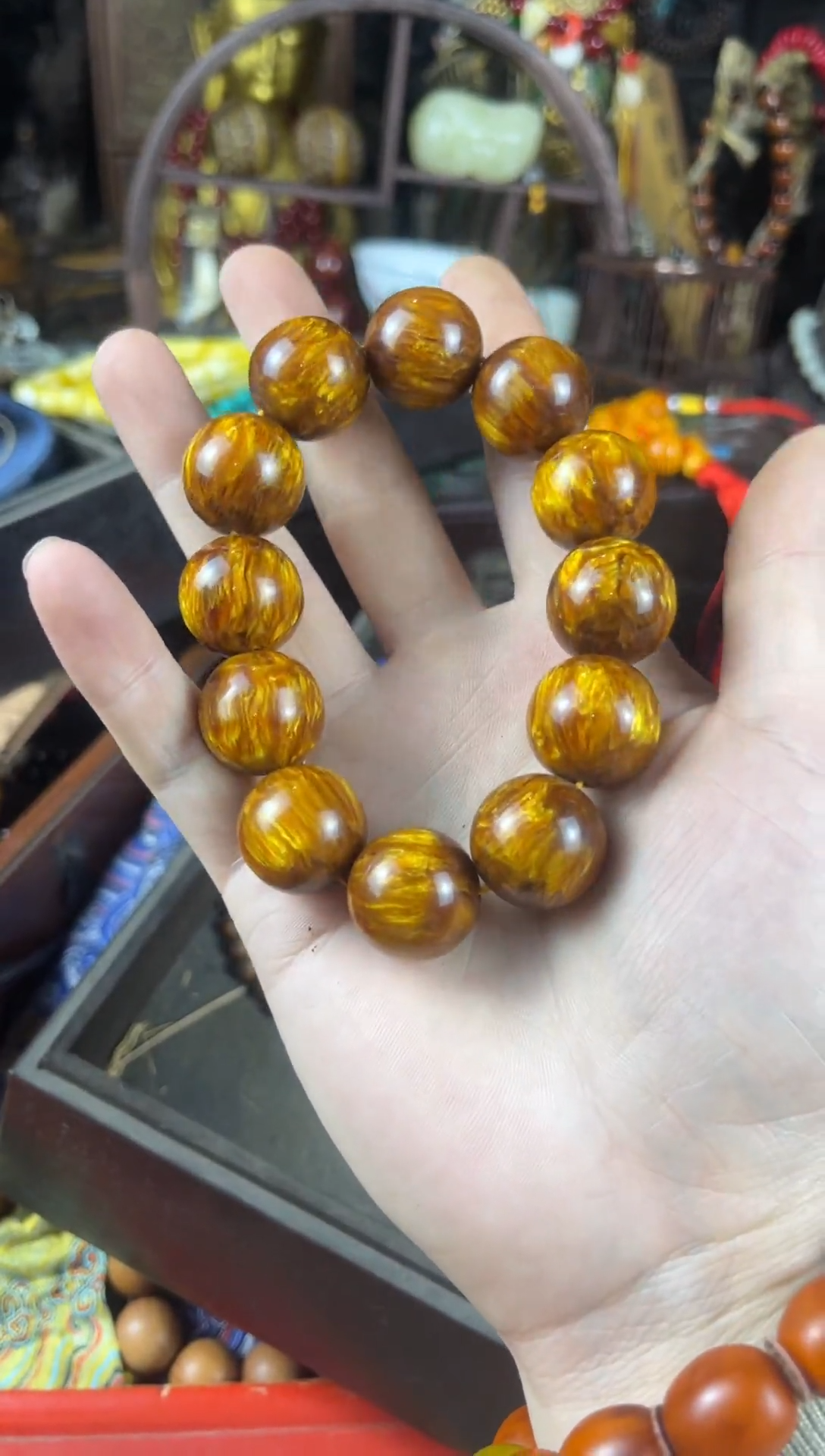 香榧木18（收到货任何问题联系客服）