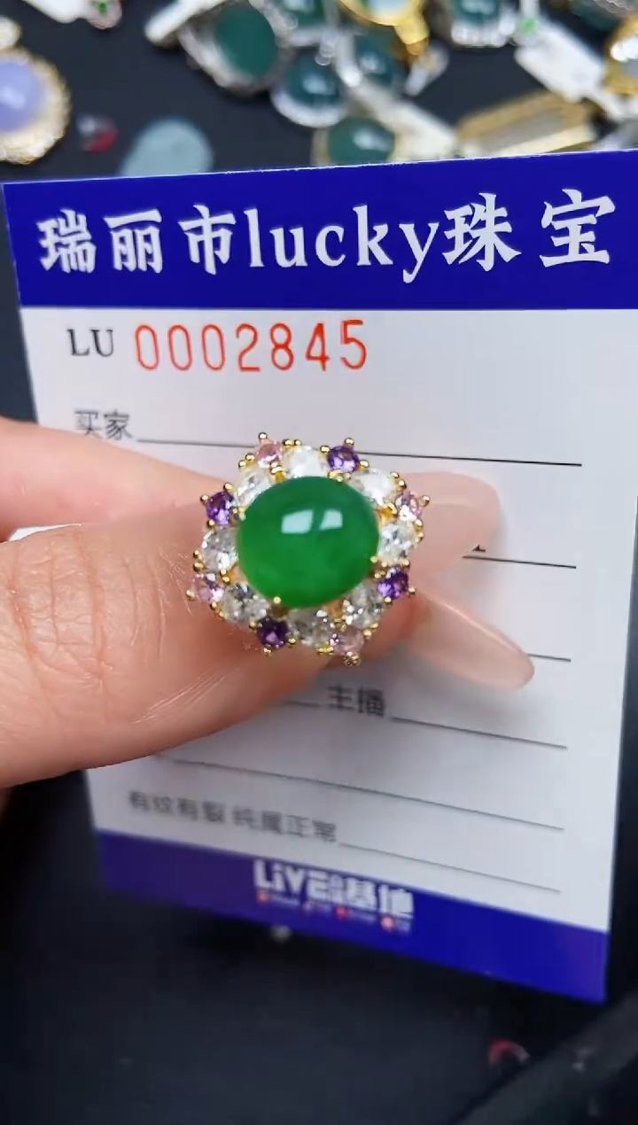 【闪购商品】翡翠颈饰银S925镶嵌2845