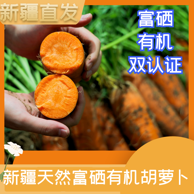 【全国包邮】新疆有机富硒胡萝卜和硕县苏哈特直发